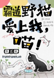 Bá Đạo Mèo Hoang Yêu Ta, Meo~!