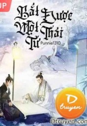 Bắt Được Một Thái Tử