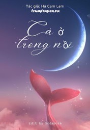 Cá Ở Trong Nồi