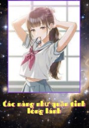 Các Nàng Như Quần Tinh Lóng Lánh