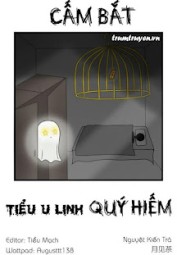 Cấm Bắt Tiểu U Linh Quý Hiếm