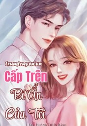 Cấp Trên Bí Ẩn Của Tôi