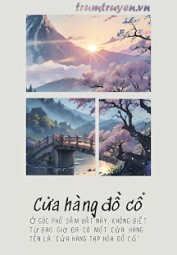 Cửa Hàng Đồ Cổ