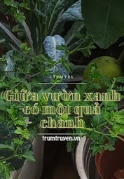 Giữa Vườn Xanh Có Một Quả Chanh