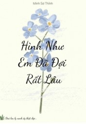 Hình Như Em Đã Đợi Rất Lâu