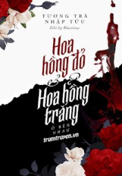 Hoa Hồng Đỏ Và Hoa Hồng Trắng Ở Bên Nhau