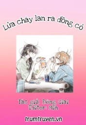 Lửa Cháy Lan Ra Đồng Cỏ
