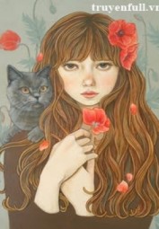 Mèo Và Linh Hồn