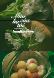 Mùa Hạ Của Tôi