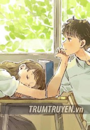 Nắng Còn Chưa Rọi Đến Nhành Đỗ Quyên