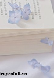 Người Phán Xử