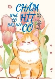 Nhà Có Bầy Mèo Chăm Hít Cỏ