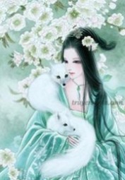 Nhật Ký Sủng Ái Của Nữ Phụ Xinh Đẹp