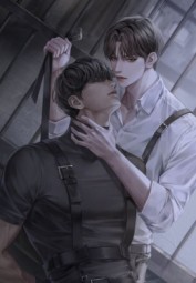 Rơi Vào Vòng Tay Người