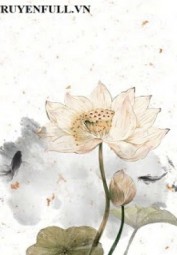 Sau Khi Tôi Xuyên Không Thành Hoa Sen Trắng