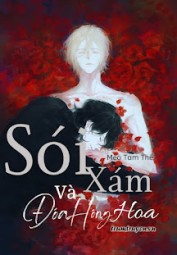 Sói Xám Và Đóa Hồng Hoa