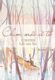 Chim Mỏi Về Tổ