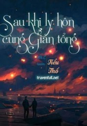 Sau Khi Ly Hôn Cùng Giản Tổng