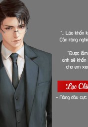 VỢ YÊU CỦA NAM THẦN