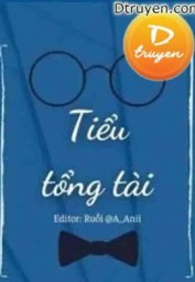Tiểu Tổng Tài