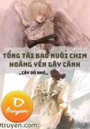 Tổng Tài Bao Nuôi Chim Hoàng Yến Gãy Cánh