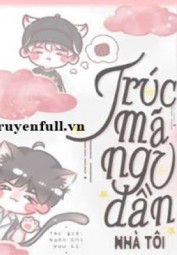 Trúc Mã Ngu Đần Nhà Tôi