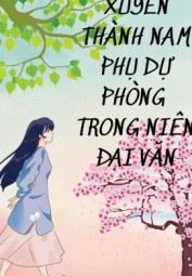 Xuyên Thành Nam Phụ Dự Phòng Trong Niên Đại Văn